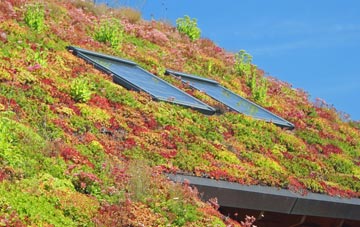 Coverham living roof systems
